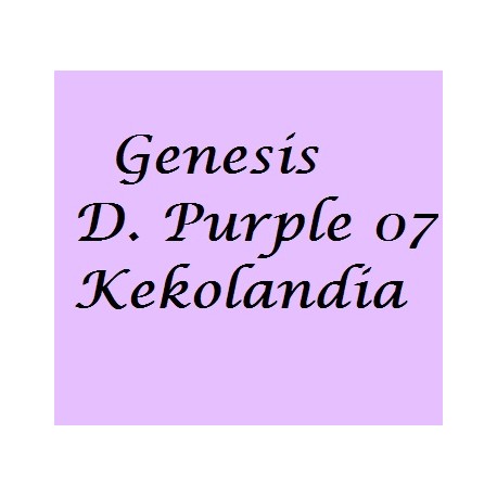 Dioxazine Purple 07