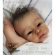 Mini Baby - Lilly Loo - Marita Winters