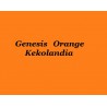 Genesis Orange