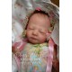 Reserva Mini Bebé - Baby Mishell - Shawna Clymer
