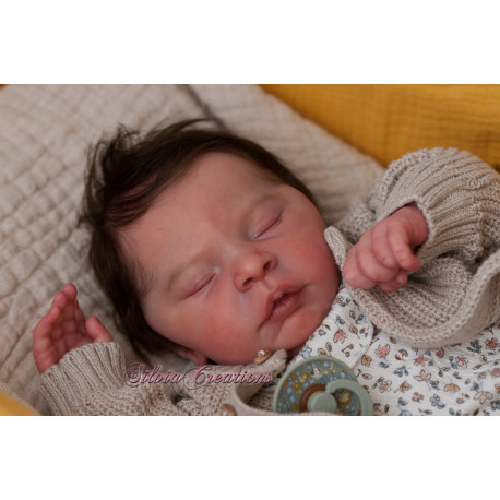 Pago reserva  Elsie Anne - Doris Moyers Hornbogen