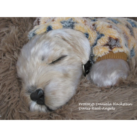 Preorder Benni - Simon Laurens