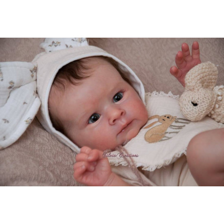 Pago reserva Vian - Olga Auer