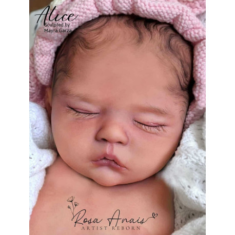 Preorder Alice - Mayra Garza