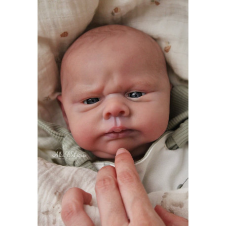 Pago reserva Kobi - Doris Moyers Hornbogen