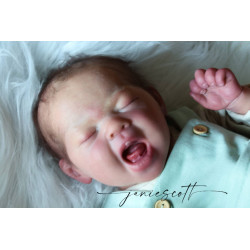 Preorder Aoi - AK Kitagawa