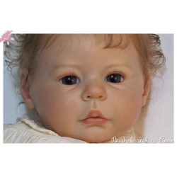 Olivia - Anne Timmerman
