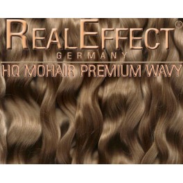 Rubio - Real Effect F01 - Yearling