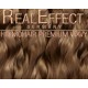  Baby Brown  - Real Effect F03 - Yearling