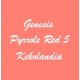 Pyrrole red 05