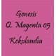 Quinacridone Magenta 05